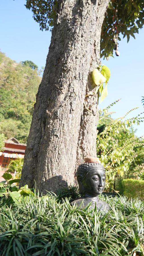 Willa Maatre Yoga Retreat Marchula Zewnętrze zdjęcie